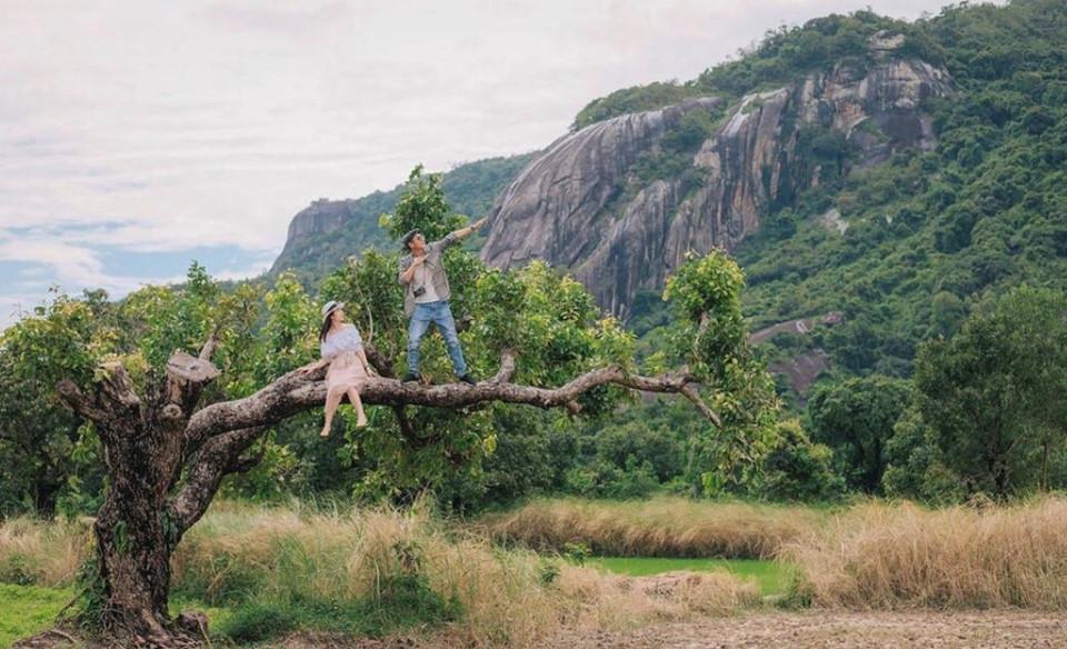 10 cây cô đơn sống ảo giới trẻ Việt Nam thường xuyên check-in-8