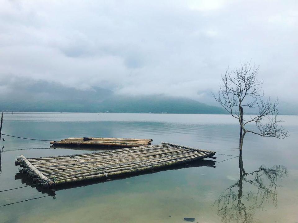 10 cây cô đơn sống ảo giới trẻ Việt Nam thường xuyên check-in-13