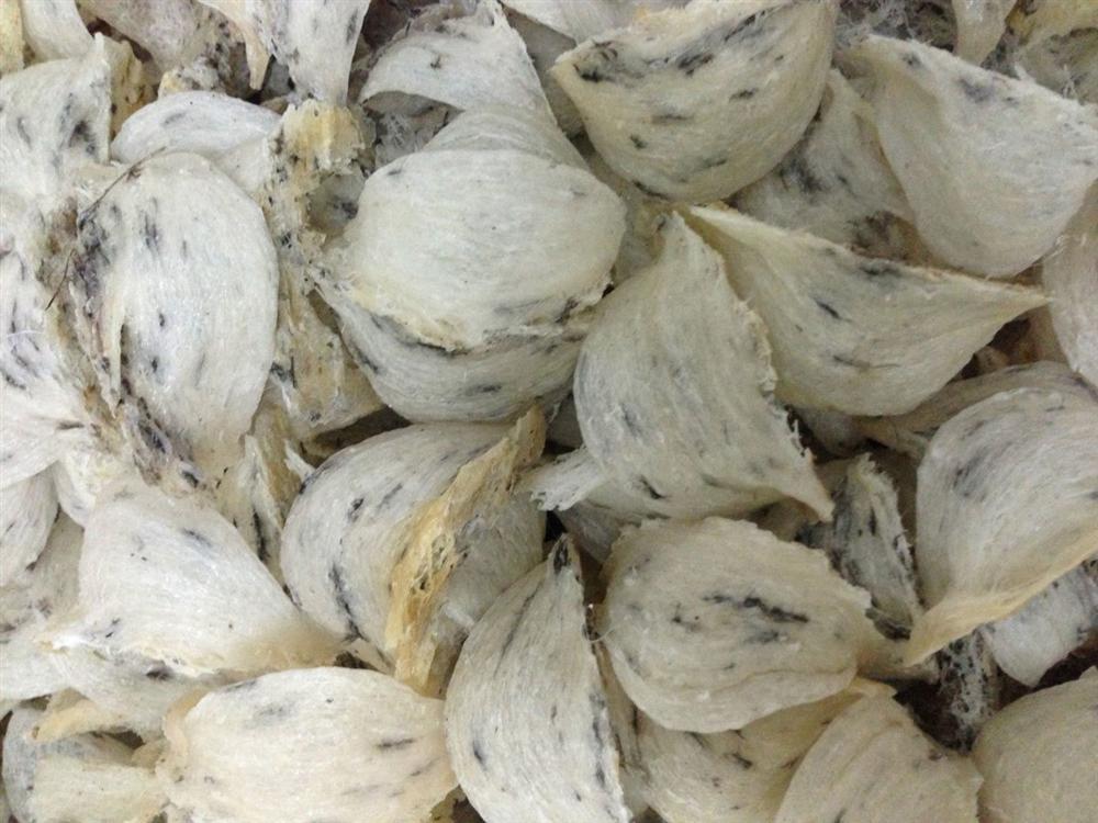 4 món ăn nổi tiếng Việt Nam vào bảo tàng đồ ăn kinh dị thế giới-5