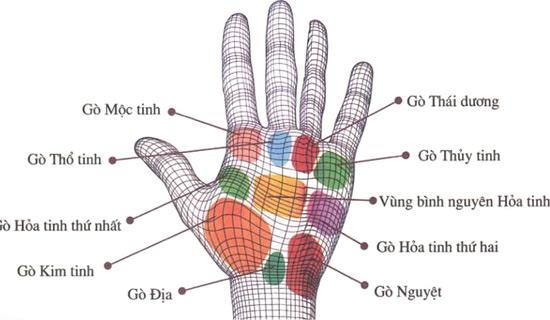 Chỉ cần nhìn 9 gò trong lòng bàn tay sẽ biết ngay tương lai ai GIÀU SANG, ai NGHÈO HÈN-1