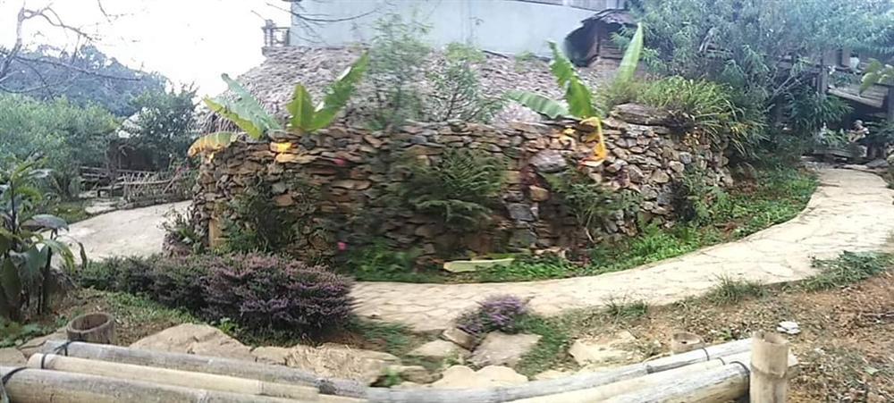 Lạc lối trong những sắc hoa dại trên cao nguyên Mộc Châu-2