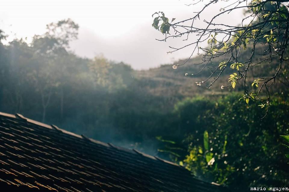 Lạc lối trong những sắc hoa dại trên cao nguyên Mộc Châu-4