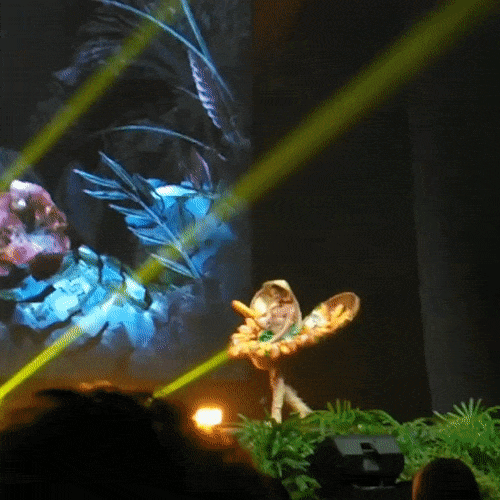 HOT: Khán giả hú hét khi HHen Niê trình diễn quốc phục Bánh Mì trên sân khấu Miss Universe 2018-4