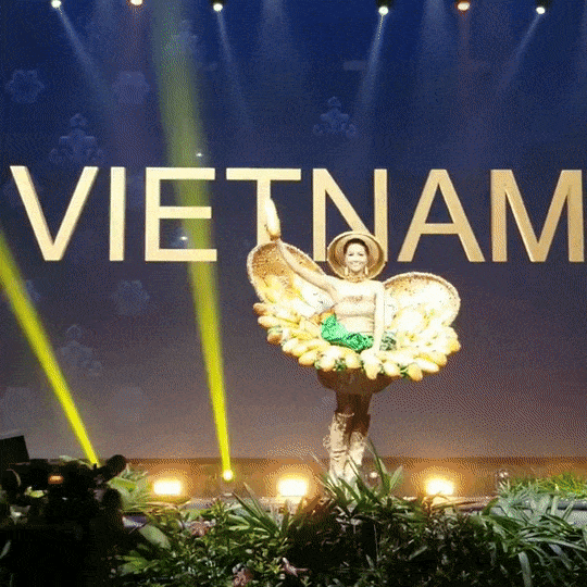 HOT: Khán giả hú hét khi HHen Niê trình diễn quốc phục Bánh Mì trên sân khấu Miss Universe 2018-5