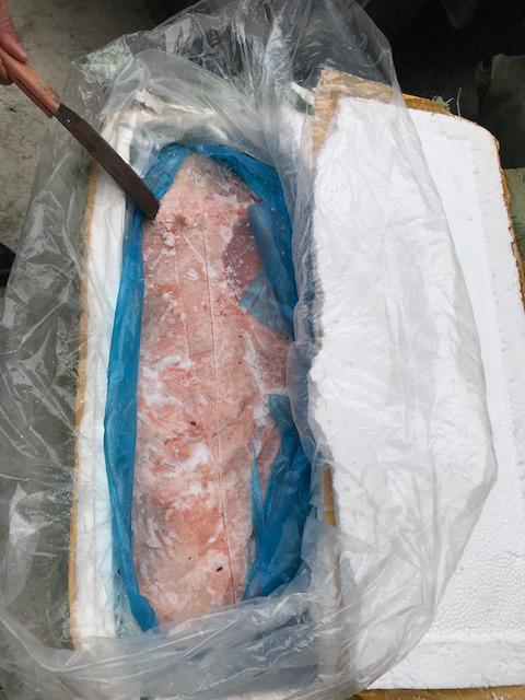 Bắt giữ 1,3 tấn nầm lợn mốc xanh, bốc mùi hôi thối-1