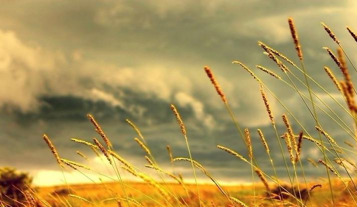 Tử vi Thứ Tư ngày 12/12/2018 của 12 con giáp: Tý yêu đương ngọt ngào, Dần đau lòng tình cũ-3