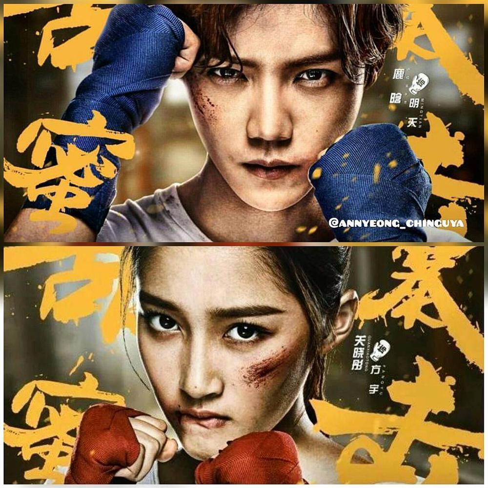 Top 5 bộ phim Hoa ngữ dở nhất năm 2018: Dương Mịch và Angela Baby đều bị gọi tên-5