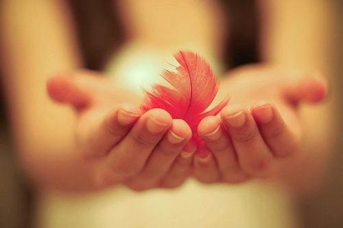 Tử vi thứ 6 ngày 01/12/2017 của 12 cung hoàng đạo-3