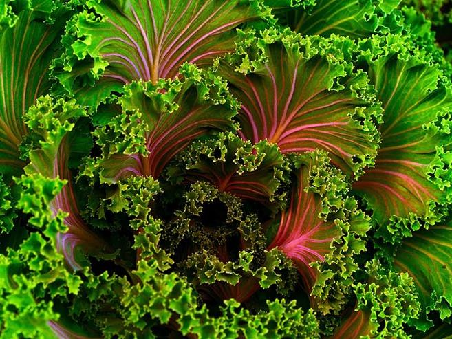 Món ăn dễ nghiền ở vùng đất Mũi Cà Mau-4