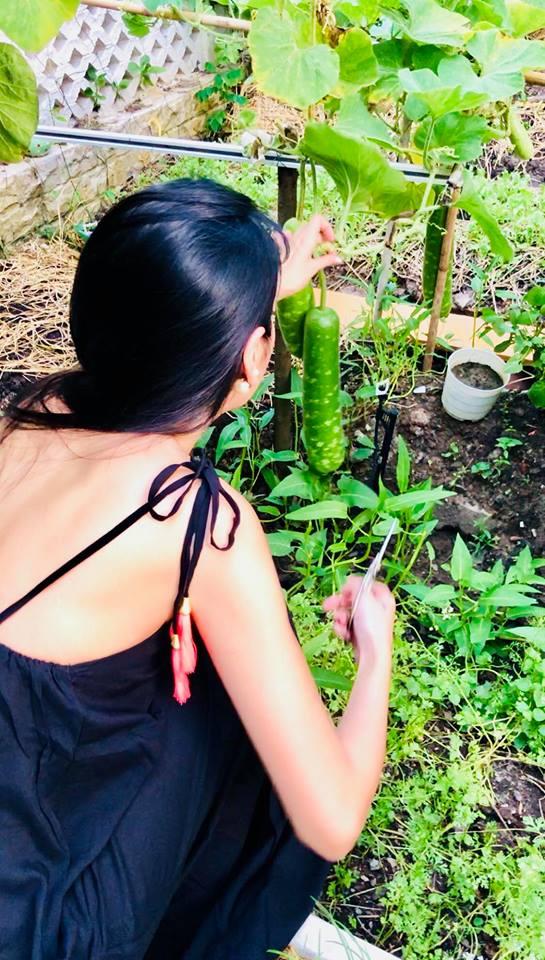 Coi thị phi showbiz nhẹ như cõi tạm, Thủy Tiên - Công Vinh vui thú với cuộc sống chay thiền tối giản-14