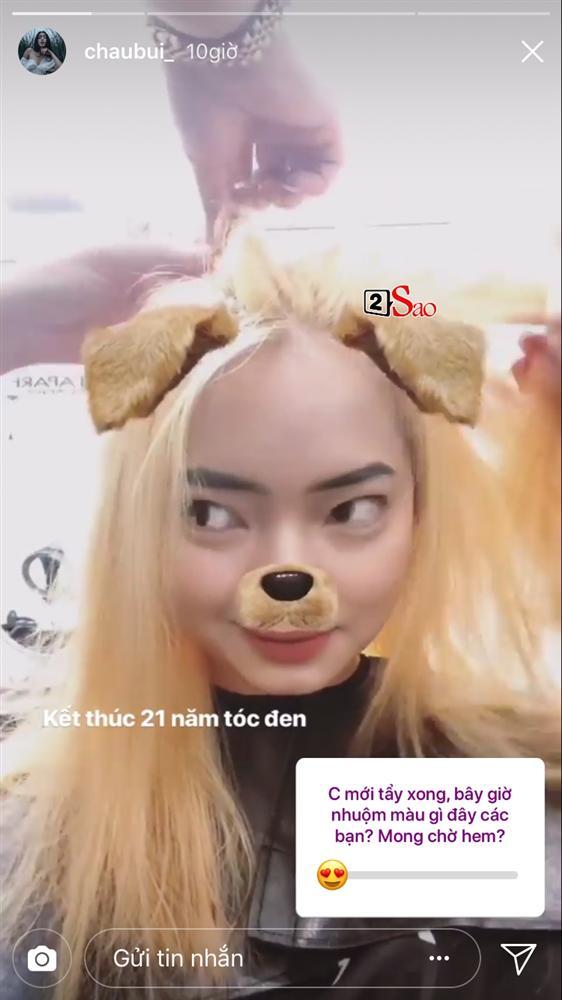 Quá yêu động vật, Châu Bùi và Decao rủ nhau đi nhuộm tóc theo màu lông của... chó-8