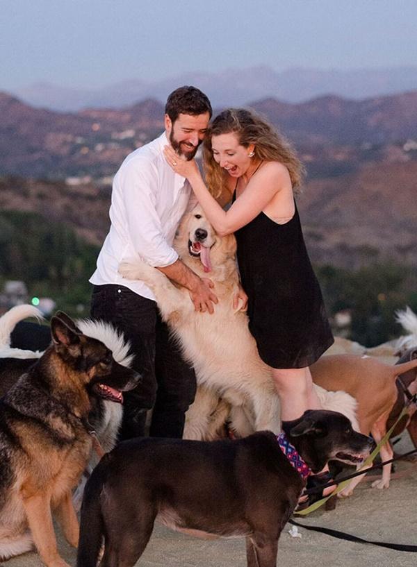 Cô gái hạnh phúc nhất thế giới, được cầu hôn với 16 chú chó bên cạnh-5