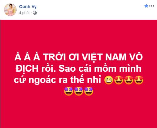 Dàn sao Việt gào nổ mạng xã hội, tưng bừng đi bão ăn mừng tuyển Việt Nam vô địch AFF Cup 2018-14