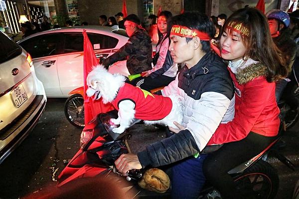 Việt Nam vô địch: Muôn kiểu đi bão hài hước đốn tim người hâm mộ-10