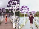 Lại có thêm một cây cầu tình yêu màu tím làm 'lịm tim' biết bao du khách ở Đà Lạt