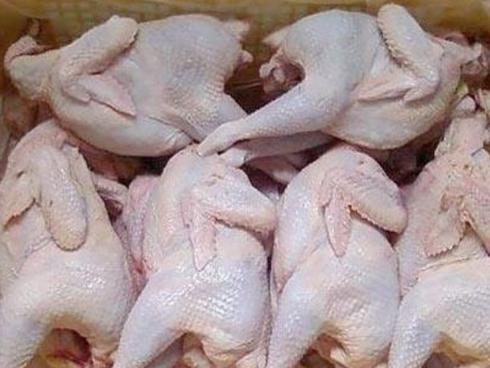 Hầm gà nguyên con kiểu Hàn Quốc với táo tàu, bạch quả-1