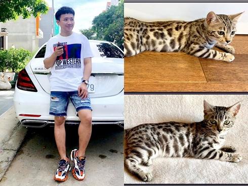 Trấn Thành và Hari Won lộ tướng phu thê vì gương mặt quá giống nhau-12