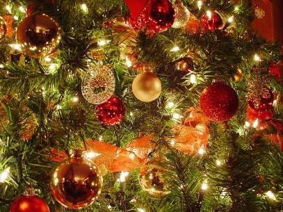 Không khí Giáng sinh sớm trên các con đường ở TP.HCM