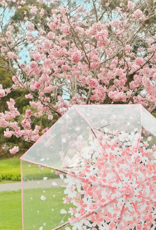 Tử vi thứ Tư ngày 19/12/2018 của 12 con giáp: Thìn ngập tràn may mắn, Tỵ dễ gây xung đột-2