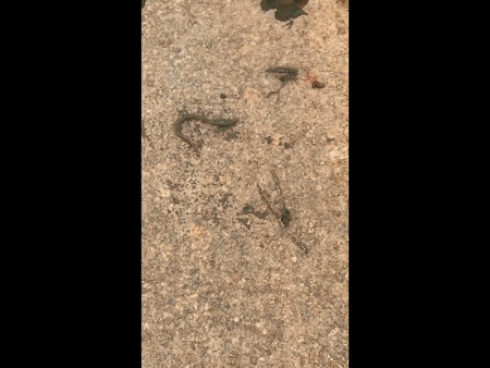 Được tung vào sân bắt chính trong trận giao hữu với Triều Tiên, Bùi Tiến Dũng đã có hành động đẹp khiến fans Việt thích thú-4