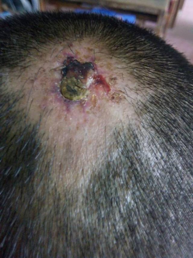 Thanh Hóa: Cháu bé bị sư thầy bạo hành nói gì tại cơ quan công an?-3