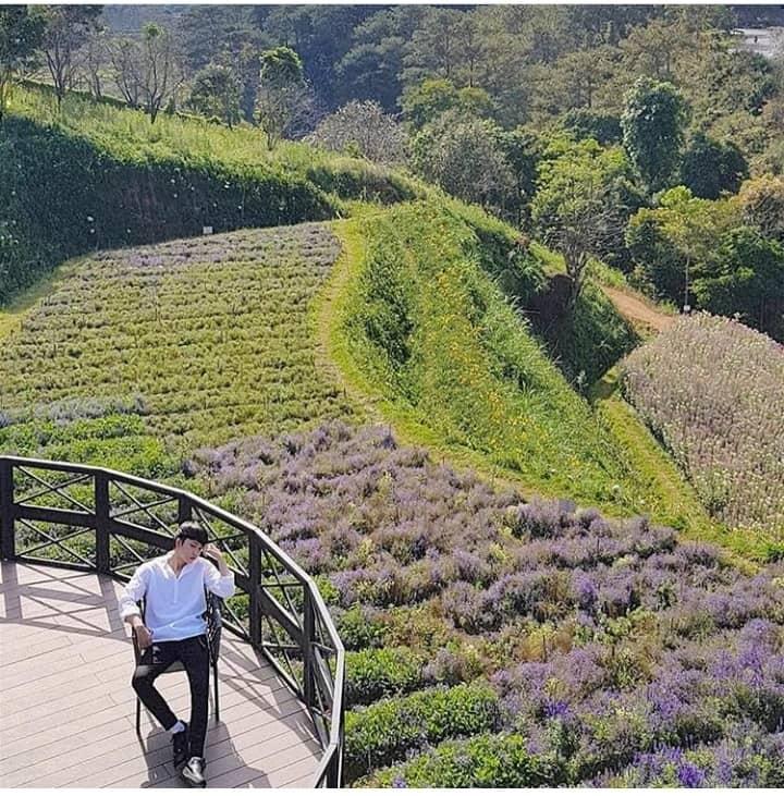 Lùng ra địa chỉ 9 loài hoa hot ở Đà Lạt hội sống ảo nhất định phải check-in-4