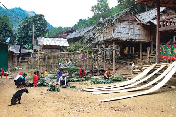 Sốc với đường dây bán bào thai từ Nghệ An sang Trung Quốc-3