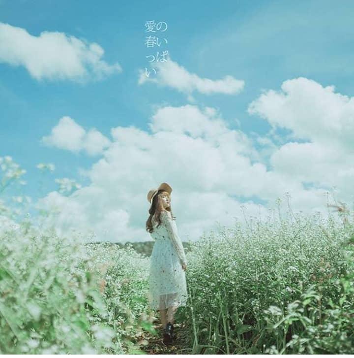 Lùng ra địa chỉ 9 loài hoa hot ở Đà Lạt hội sống ảo nhất định phải check-in-7