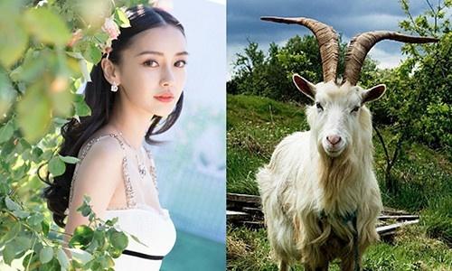 Lộ diện 4 con giáp được Thần tài yêu chiều hết mực, ra cửa là KHIÊNG TIỀN VỀ trong tết dương lịch-4