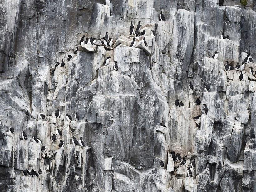 Phải chăng đây chính là nơi ở của ông già Noel?-1