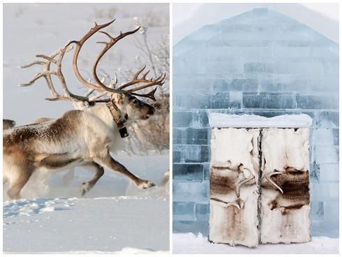 Phải chăng đây chính là nơi ở của ông già Noel?