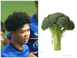 Dân mạng chế ảnh kiểu tóc xoăn mới của Công Phượng-3