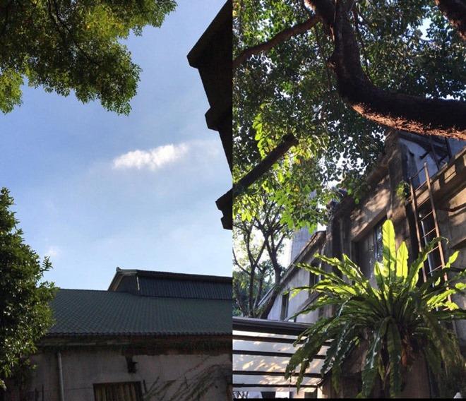 Nhĩ Khang Hoàn Châu cách cách khoe điền trang tráng lệ ở quê-7