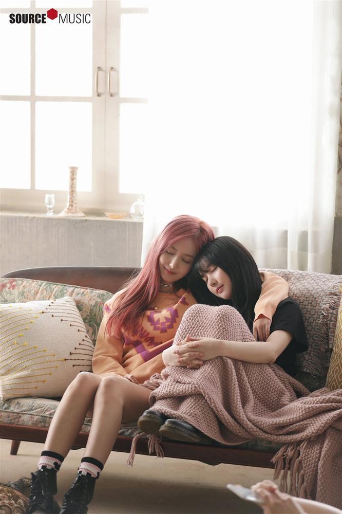 Tử vi tuần mới của 12 con giáp từ 24/12 đến 30/12/2018: Tý mệt mỏi vì tình, Sửu gặp hoạ thị phi-2