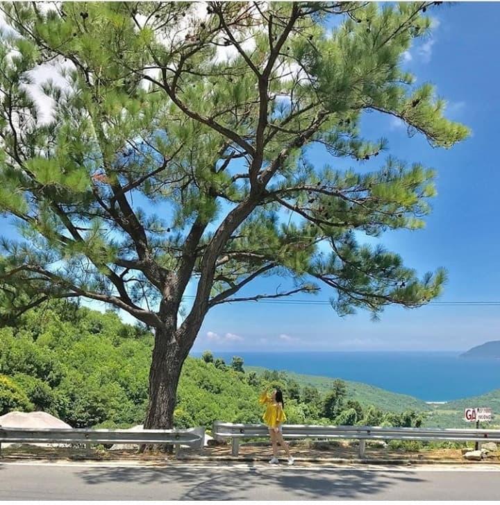 10 cây cô đơn tưởng không thiêng mà hóa thiêng không tưởng, giúp dân FA hóa giải lời nguyền ế ẩm-4