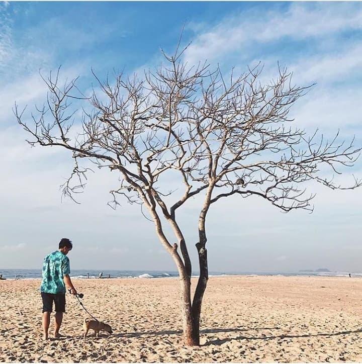 10 cây cô đơn tưởng không thiêng mà hóa thiêng không tưởng, giúp dân FA hóa giải lời nguyền ế ẩm-7