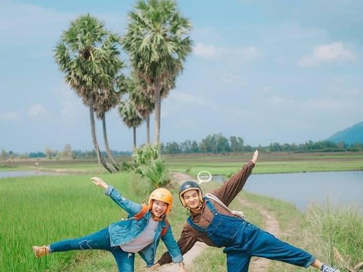 Không đến được Đà Lạt vẫn check-in cháy máy cây cô đơn ở ngay Hà Nội-11