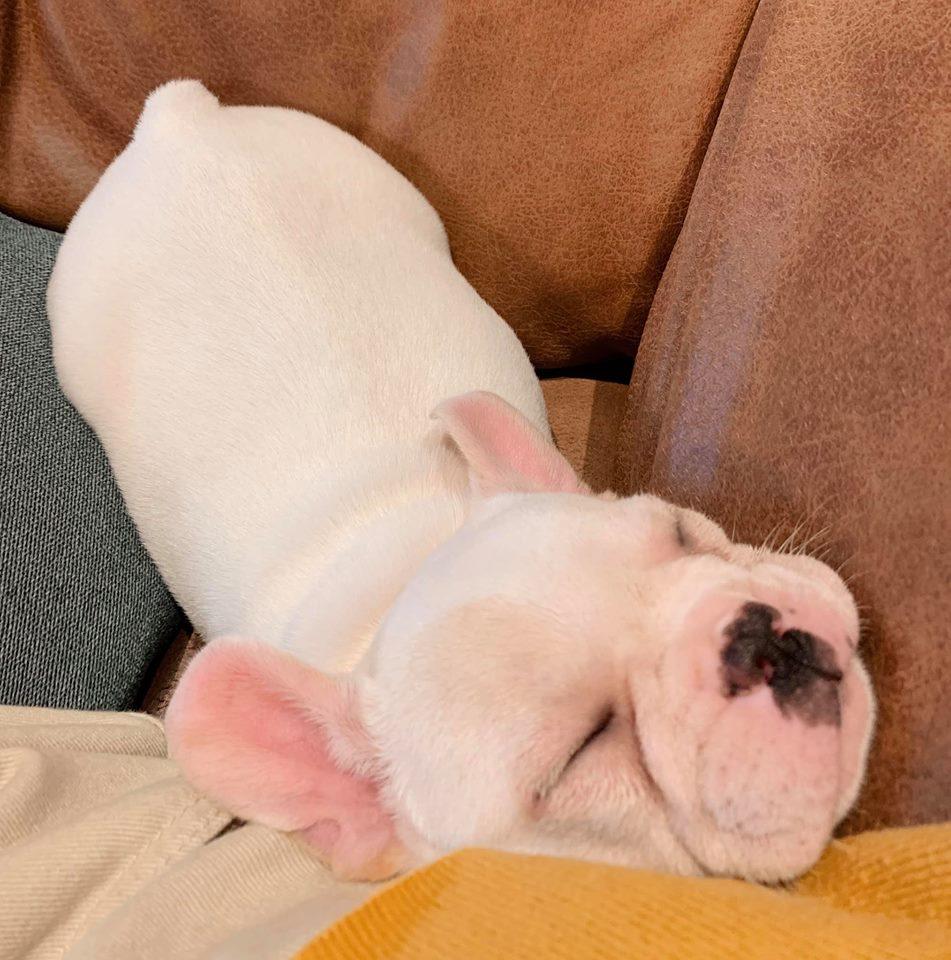 Tròn 3 năm làm mẹ đơn thân, Ly Kute nói đó là quãng thời gian ý nghĩa nhất cuộc đời-7