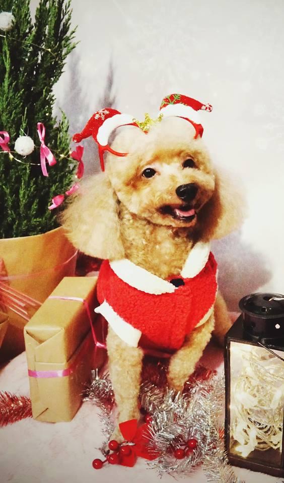 Tròn 3 năm làm mẹ đơn thân, Ly Kute nói đó là quãng thời gian ý nghĩa nhất cuộc đời-6