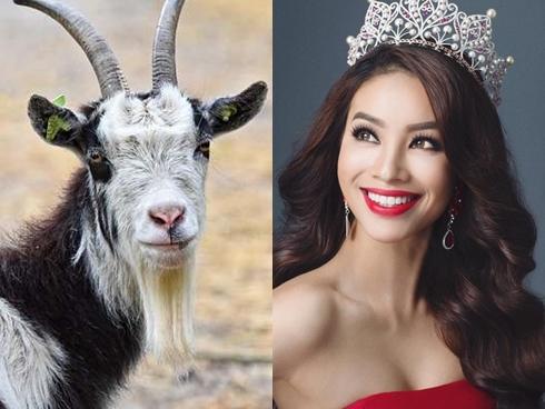 12 con giáp nên mua VẬT PHẨM PHONG THỦY nào để ĐẾM TIỀN MỎI TAY trong năm 2019?-6