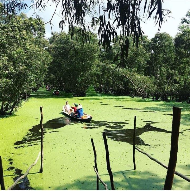 Khám phá rừng tràm xanh biếc ở An Giang đẹp như tiên cảnh đang được giới trẻ săn lùng-9