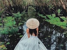Khám phá rừng tràm xanh biếc ở An Giang đẹp như tiên cảnh đang được giới trẻ săn lùng Khám phá rừng tràm xanh biếc ở An Giang đẹp như tiên cảnh đang được giới trẻ săn lùng