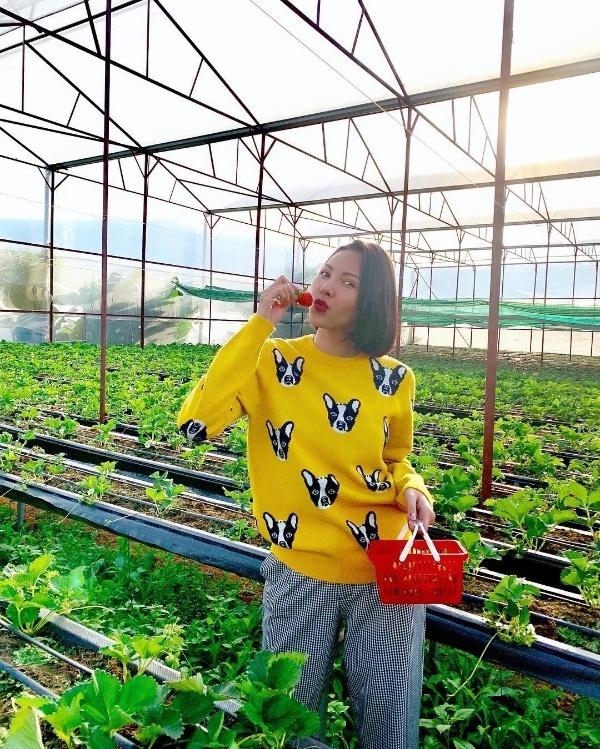 Nhí nhố hết cỡ, Lương Xuân Trường - Văn Toàn diện sừng đôi mừng Giáng sinh-7