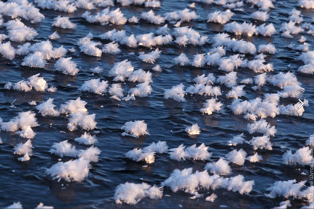 Hàng nghìn hoa băng hiếm gặp xuất hiện trên hồ nước ngọt-1