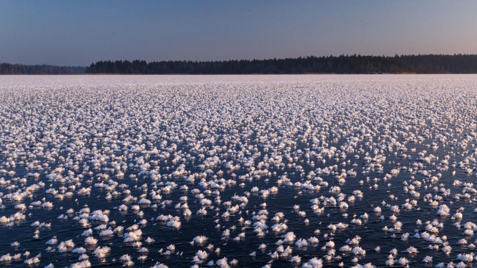 Hàng nghìn hoa băng hiếm gặp xuất hiện trên hồ nước ngọt-2