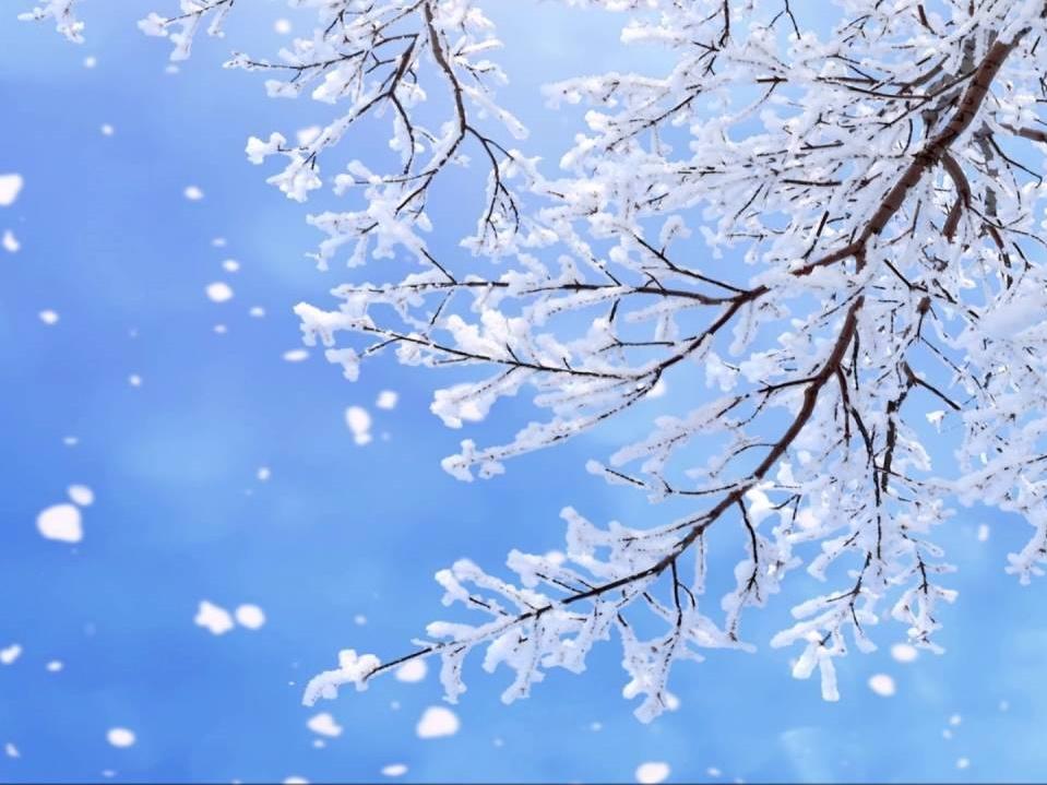 111 năm lịch sử của quả cầu rơi đón giao thừa ở Quảng trường Thời đại-15