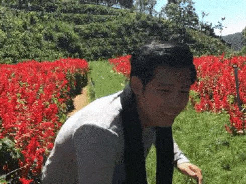 Sắp kết thúc, Gạo nếp gạo tẻ vướng lùm xùm-4