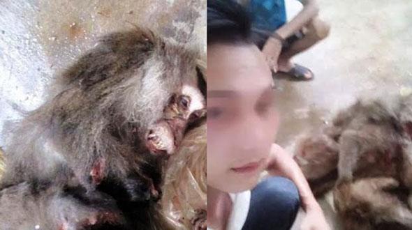 Khởi tố 6 đối tượng livestream giết voọc, ăn óc sống gây phẫn nộ-2