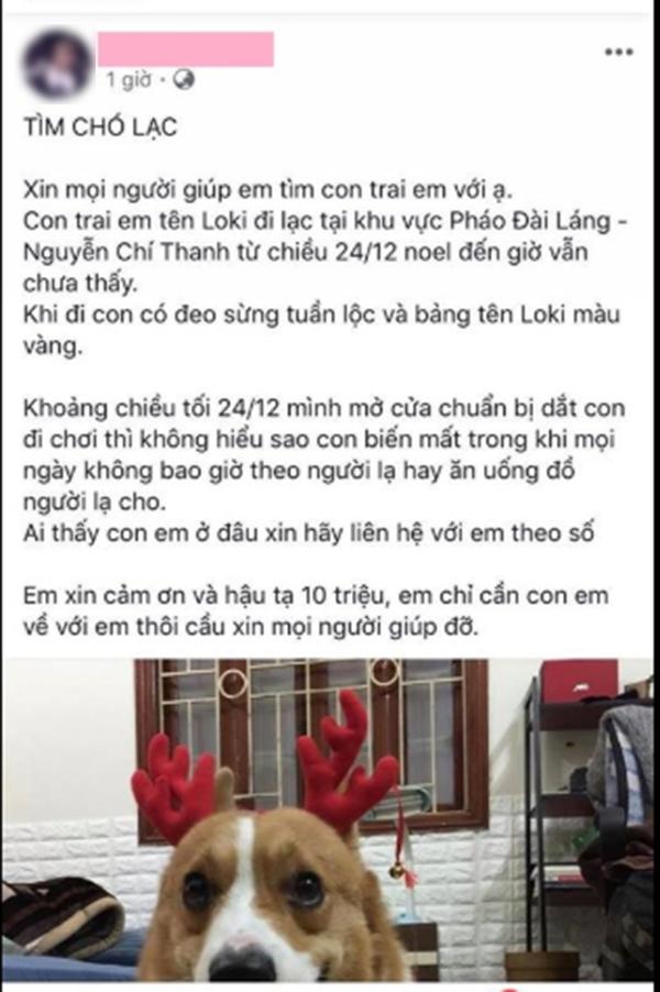 Góc mưu hèn kế bẩn: Cay cú vì bị đá, nam thanh niên trộm chó của người yêu đem bán-4