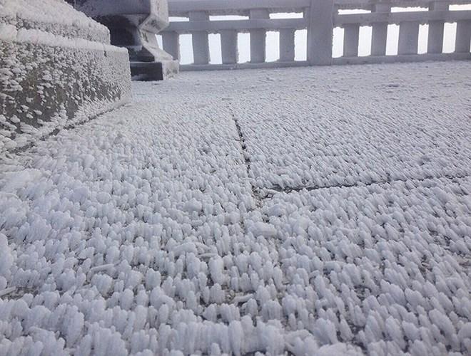 Đỉnh Fansipan đẹp ngỡ ngàng giữa trời tuyết trắng-3